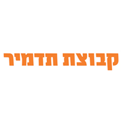 קבוצת תדמיר